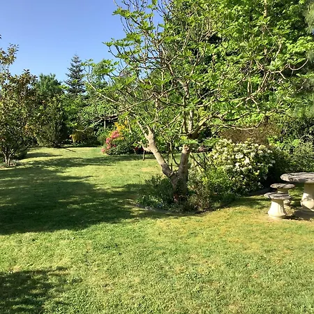 Oda ve Kahvaltı Chez L Habitant *